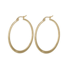 Load image into Gallery viewer, Round Hoops, Gold Plated Stainless Steel